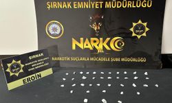 Şırnak'ta asayiş ve kaçakçılık operasyonlarında 15 şüpheli yakalandı