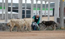 Çok tartışıldı... O düzenleme yasalaştı!