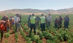 Gaziantep'te mevsimlik tarım işçilerine trafik eğitimi verildi