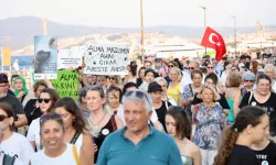 Sahipsiz hayvanlar için sesler Mudanya'dan yükseldi