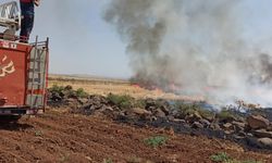 Şırnak'ta tarım arazisinde çıkan yangın söndürüldü