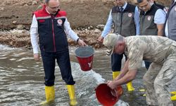 Siirt'te baraj göllerine 1 milyon sazan yavrusu bırakıldı