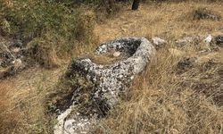 Adıyaman'da Roma dönemine ait oda mezar bulundu