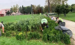 Sakarya'da şehrin dört bir yanına sonbahar dokunuşu