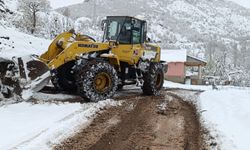 Batman'da Kar Yağışı Ulaşımı Olumsuz Etkiledi