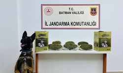 Batman'da Yaklaşık 6 Kilo Kenevir Ele Geçirildi