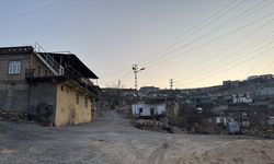 Adıyaman'da bir köy kuduz nedeniyle karantinaya alındı