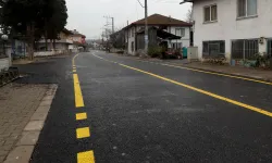 Sakarya'da Akçakamış’ın kalbine giden yolu tablo gibi işlendi