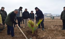 Milletvekili Nasıroğlu, Fidan Dikim Etkinliğine Katıldı