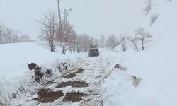 Adıyaman'da kar nedeniyle 360 köy ve mezra yolu ulaşıma kapandı