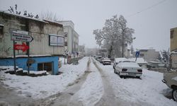 Adıyaman'da kar nedeniyle 49 köy yolu ulaşıma kapandı