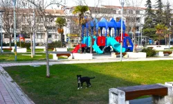 Gemlik'in parklarda çevresi değişiyor