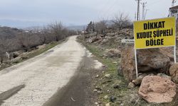 GÜNCELLEME - Şanlıurfa'da sahipsiz köpeğin kadına saldırısının güvenlik kamerası görüntüleri ortaya çıktı