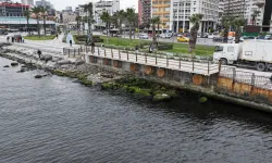 İzmir Körfezi'ne deşarj edilen atık su değil yağmur suyu! Büyükşehir'den analiz sonuçlarıyla yanıt