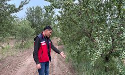Adıyaman'da dolu etkili oldu