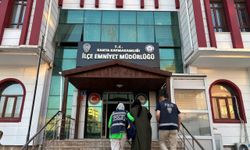 Adıyaman'da kesinleşmiş hapis cezası bulunan hükümlü yakalandı