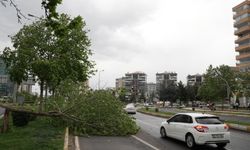 Diyarbakır'da fırtına yaşamı olumsuz etkiledi