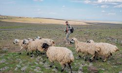 Diyarbakırlı çoban hayvan otlatırken çektiği fotoğraflarla yöresini tanıtıyor