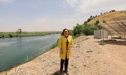 Gaziantep Karkamış Antik Kenti ve Fırat Nehri'nde kuş gözlem ve fotoğraf terasları inşa edilecek