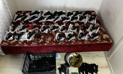 Gaziantep'te 1 el bombası ile 45 silah ele geçirildi