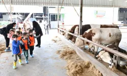 İzmir Çiğli'den çocuklara unutulmaz bir gün