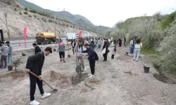 Kayseri Melikgazi'nin yeşil dokusu güçleniyor