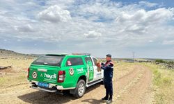 Kilis'te yaralı bulunan kızıl şahin koruma altına alındı