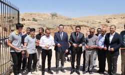 Mardin'in tarihi yapılarını resmeden öğrencilerin eserleri Dara Antik Kenti'nde sergilendi