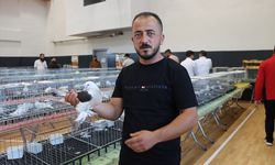 Midyat'ta "Midyat-Musul Güvercin Festivali" düzenlendi