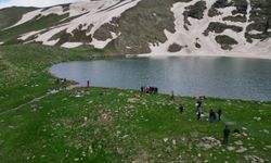 Şırnak'ta 2 bin 625 rakımlı Faraşin Yaylası doğaseverlerin rotası oldu