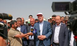 TZOB Genel Başkanı Bayraktar, Diyarbakır'da kuraklıktan etkilenen tarlaları inceledi