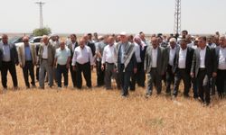 TZOB Genel Başkanı Bayraktar, Şırnak'ta kuraklıktan etkilenen tarlaları inceledi