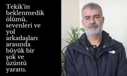 DEM Parti İl Eşbaşkanı Mustafa Tekik Vefat Etti