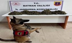 Batman Jandarma'dan Narkotik Operasyonu: 4 Kilo Esrar Ele Geçirildi