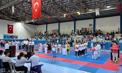 Diyarbakır'da '3. Çermik Geleneksel Bölge Karate Turnuvası' başladı