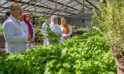 Diyarbakır'da kadınlar bitkilerden ürettikleri sabunlarla hikayelerini de duyuracak
