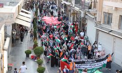 Mardin'de, İsrail'in Gazze'ye saldırıları protesto edildi
