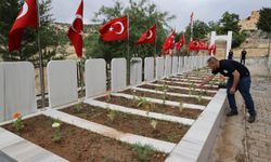 Mardin'de şehit kabirlerinde bakım ve yenileme çalışması yapıldı