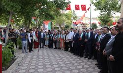 Mardin'de 'Yeşilli Uluslararası Kültür Sanat ve Kiraz Festivali' başladı
