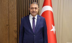 Şanlıurfa'da mayıs ayında belediyeler tarafından 1900 sahipsiz hayvan toplandı
