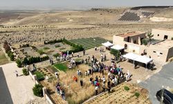 Şanlıurfa'da Slow Wheat Şanlıurfa 2025 etkinliği düzenlendi