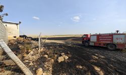 Savur ve Kızıltepe'de çıkan yangınlar söndürüldü