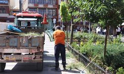 Siirt Belediyesinden temizlik ve peyzaj çalışması