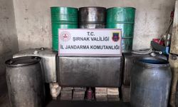 Şırnak'ta kaçakçılık operasyonlarında 10 kişi hakkında işlem yapıldı
