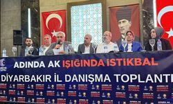 AK Parti Diyarbakır İl Başkanlığı Genişletilmiş İl Danışma Meclisi Toplantısı yapıldı