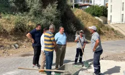 Başkan Topuz, Milas’ın çalışmalarını yerinde inceledi