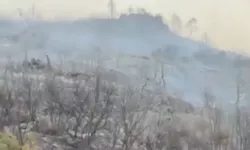 Bursa Büyükşehir yangınlarda son durumu bildirdi