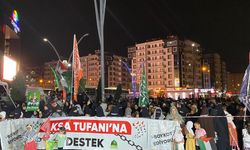 Diyarbakır'da İsrail'in Gazze'ye saldırıları protesto edildi