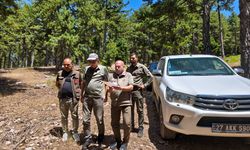 Doğu Koruma ve Milli Parklar'dan Huzurlu Yaylasında inceleme