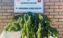 Gaziantep'te uyuşturucu operasyonunda bir kişi tutuklandı